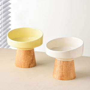 Elevated Ceramic Pet Food And Water Bowl Set