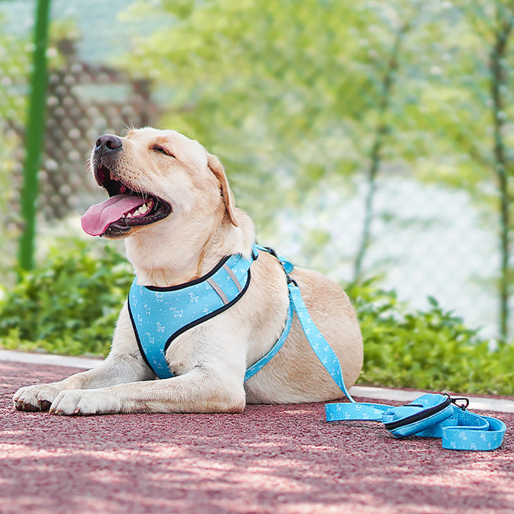 Elevate Your Pet's Style with Our Decorative Bow Design Harness