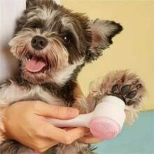The Ultimate Pet Pampering Experience