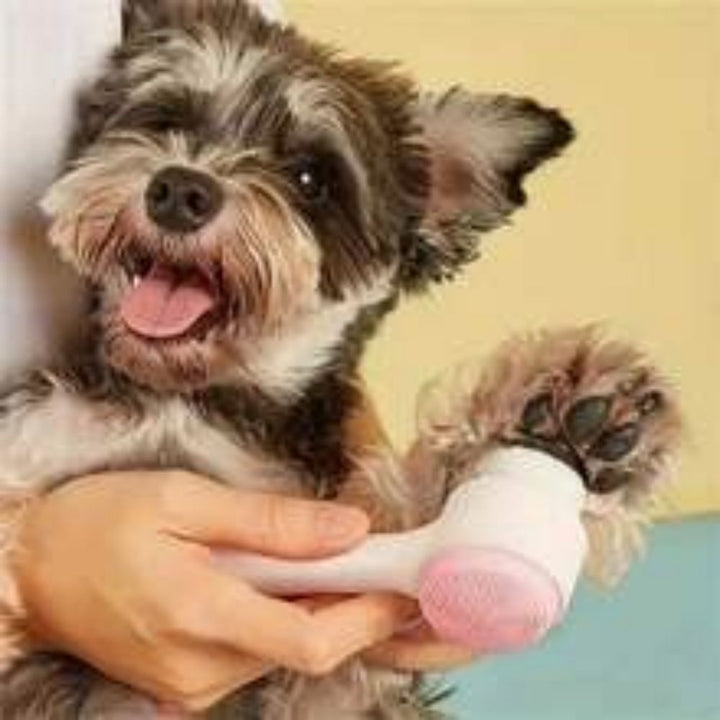 The Ultimate Pet Pampering Experience